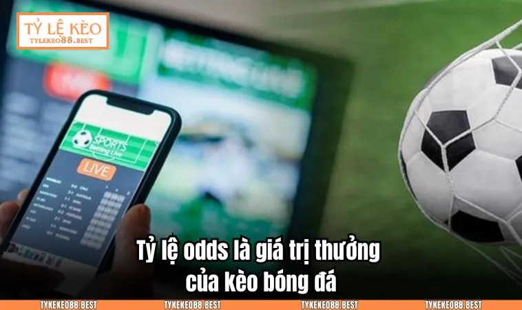 Tỷ lệ odds là giá trị thưởng của kèo bóng đá